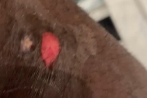 追梦：西决不算特别精彩 除了G1都是吊打 没有我想看的有来有回